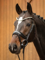 Passier Passier Favorite Aansnoerneusriem Hoofdstel