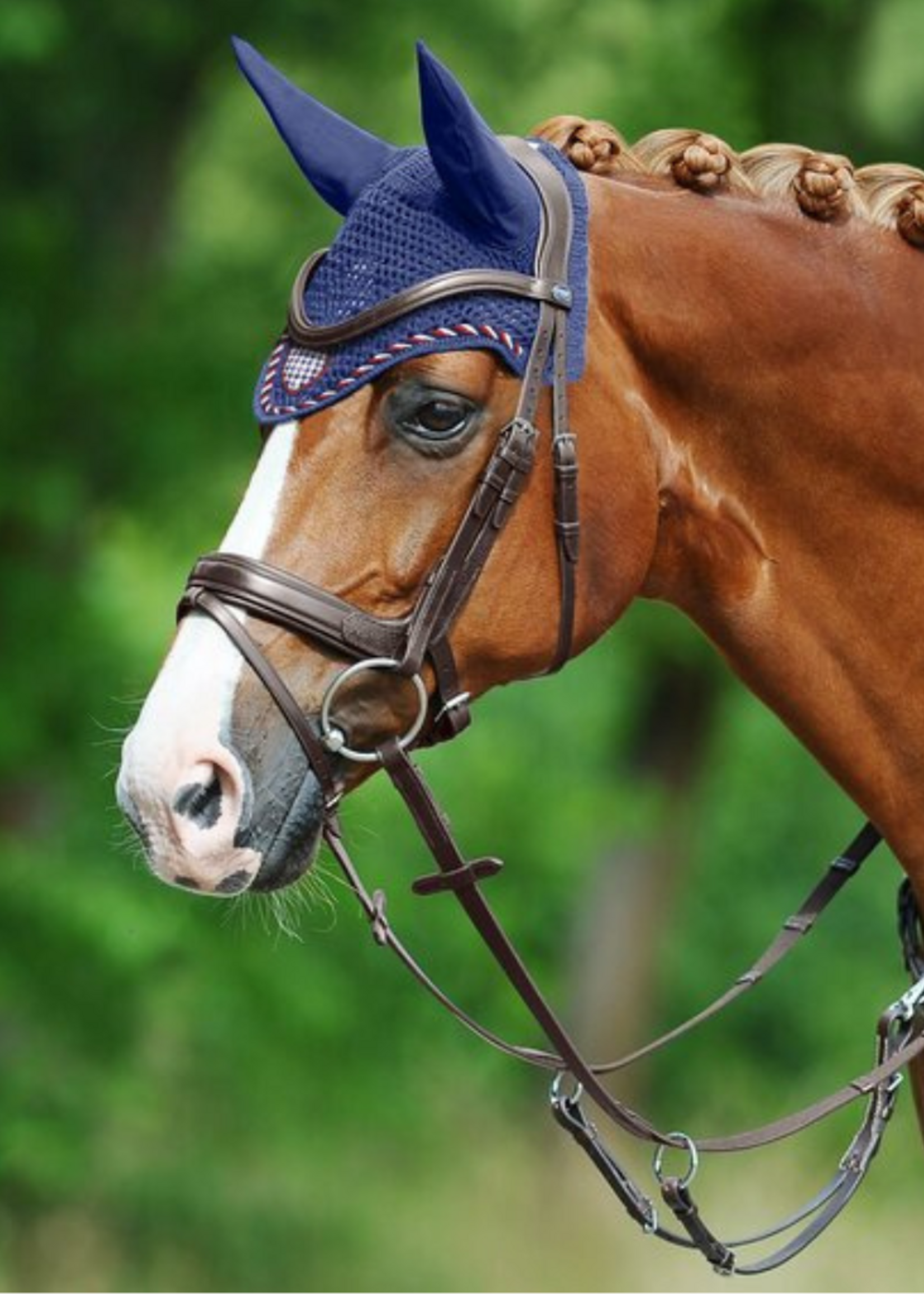 Passier Passier Marcus Ehning Anatomisch Hoofdstel 810