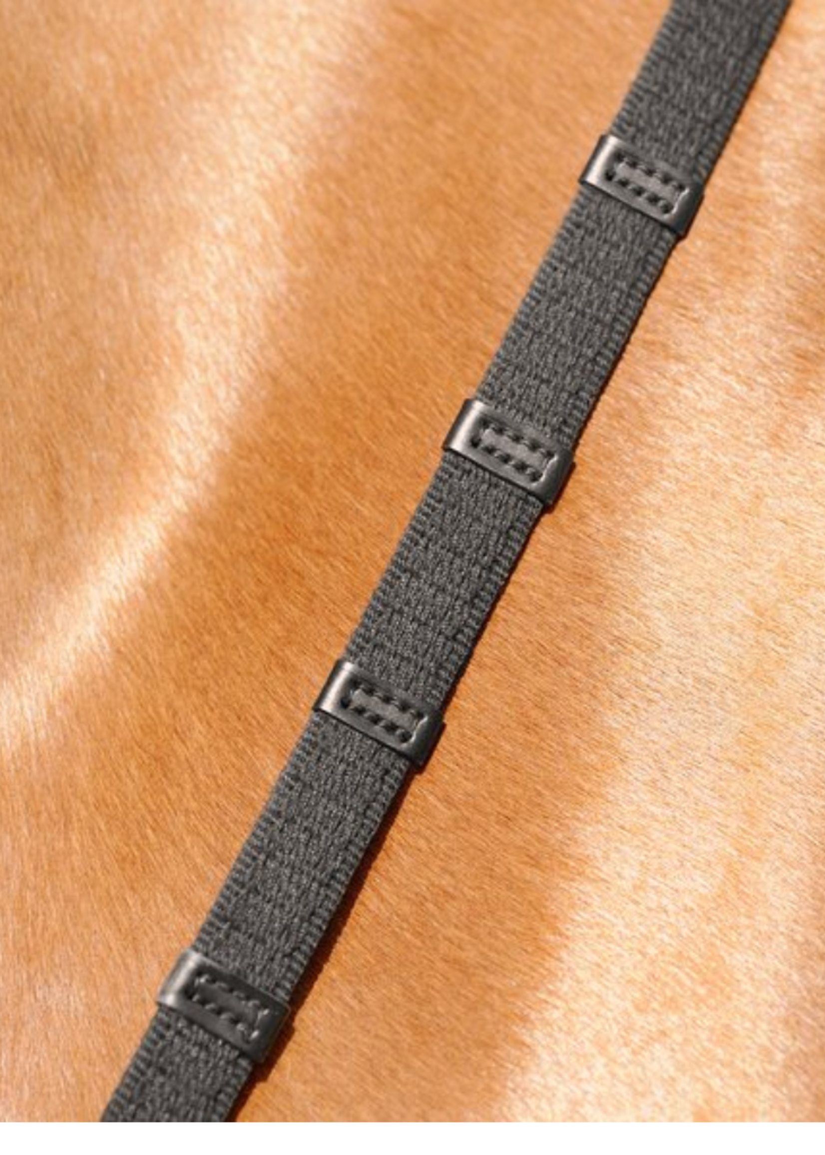 Passier Passier Marcus Ehning Anatomisch Hoofdstel 810