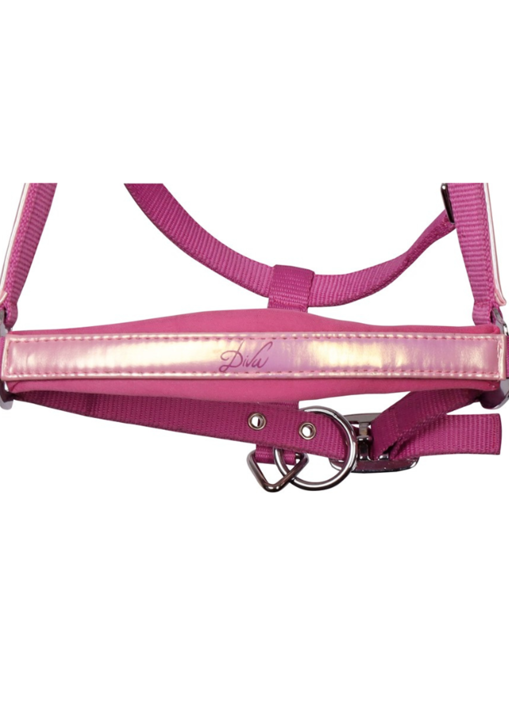 Harry’s horse Harry Diva Violet  Halster  31002830