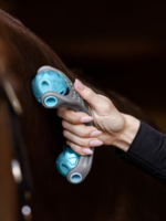 Waldhausen Waldh Health + Care Relax Roller