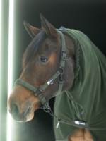 Eskadron Eskadron Dynamic   Double Pin Halster