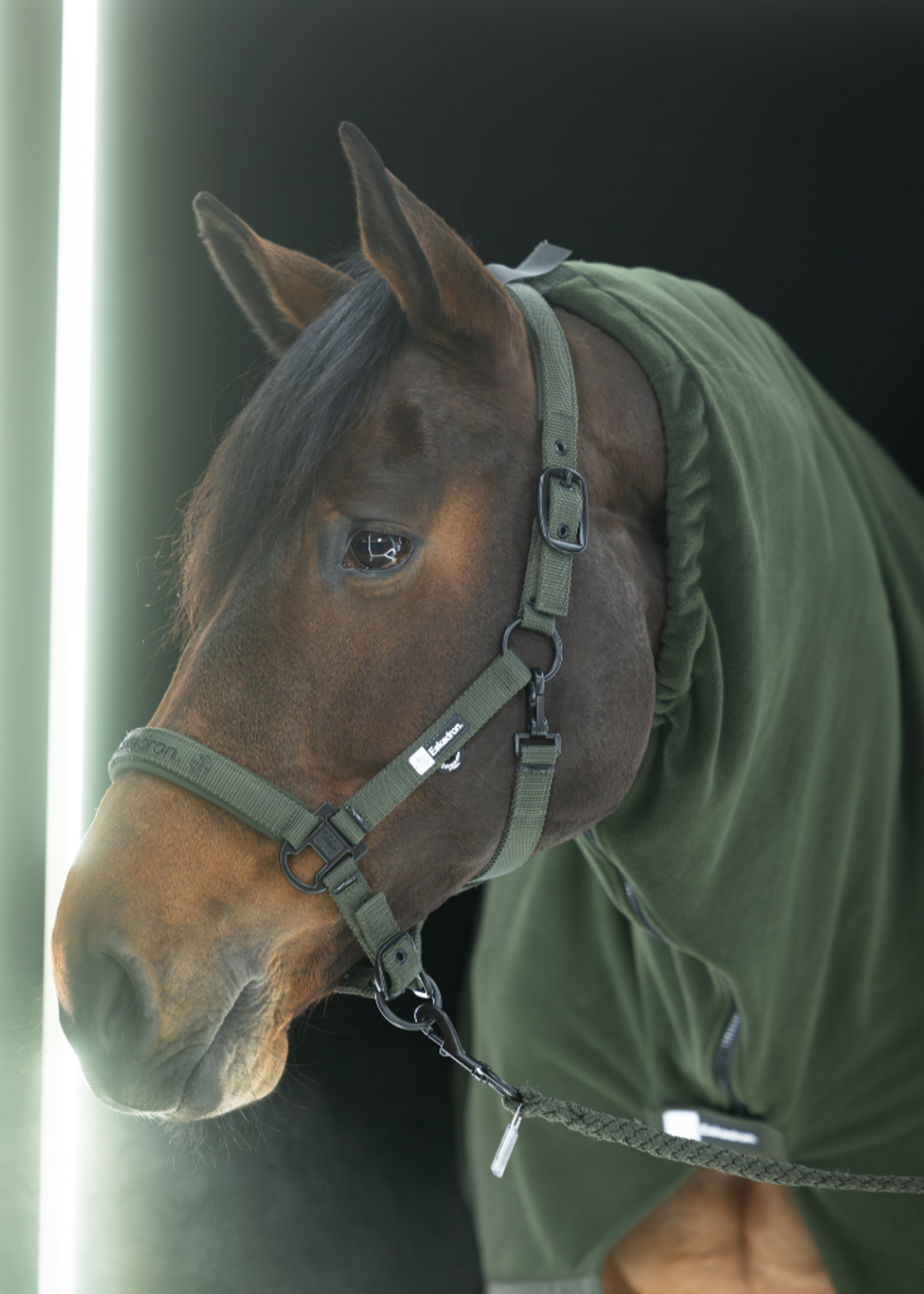 Eskadron Eskadron Dynamic   Double Pin Halster 420189816