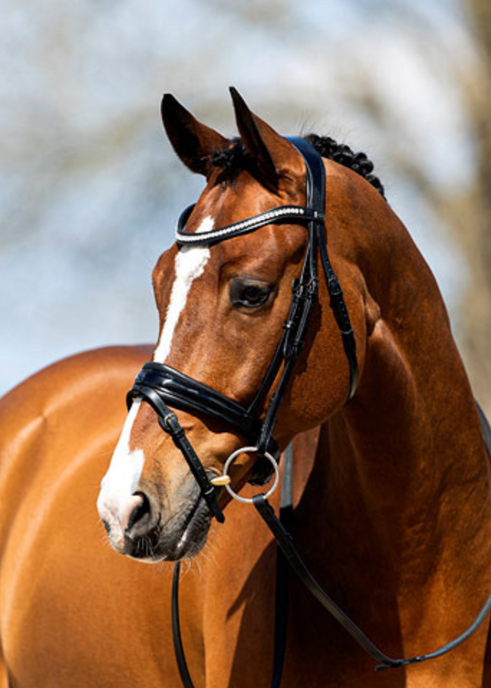 Anky Anky Hoofdstel A18014