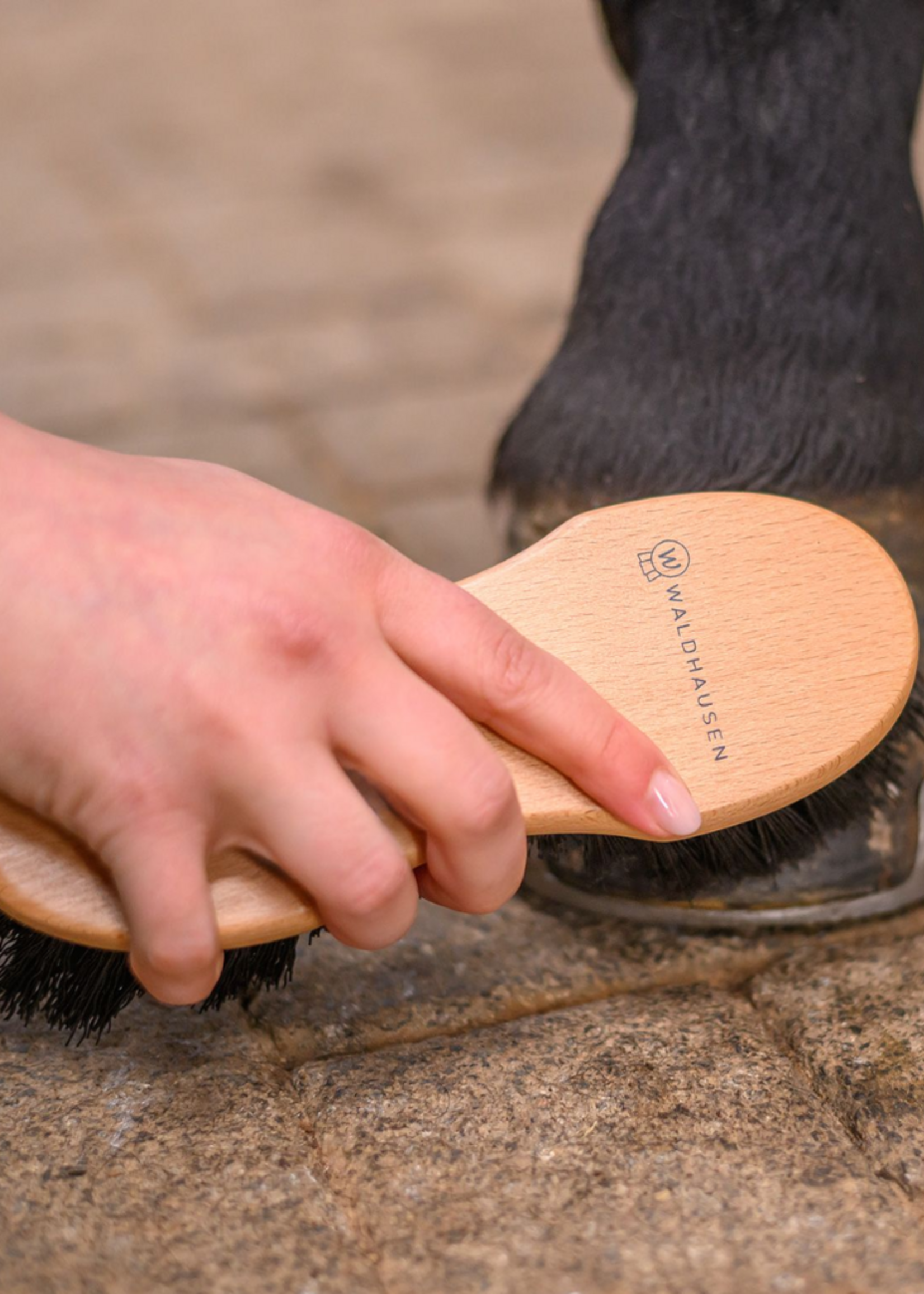 Waldhausen Waldh Exclusive Harde Borstel 38748