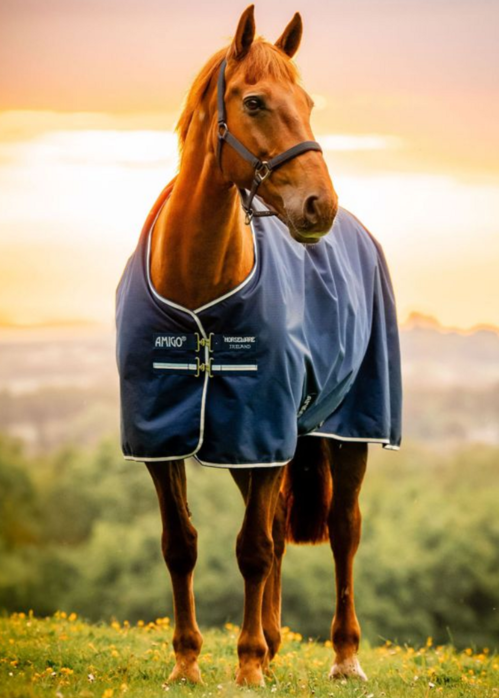 Horseware Horseware Amigo Ripstop 900D  50gr Waterdicht deken