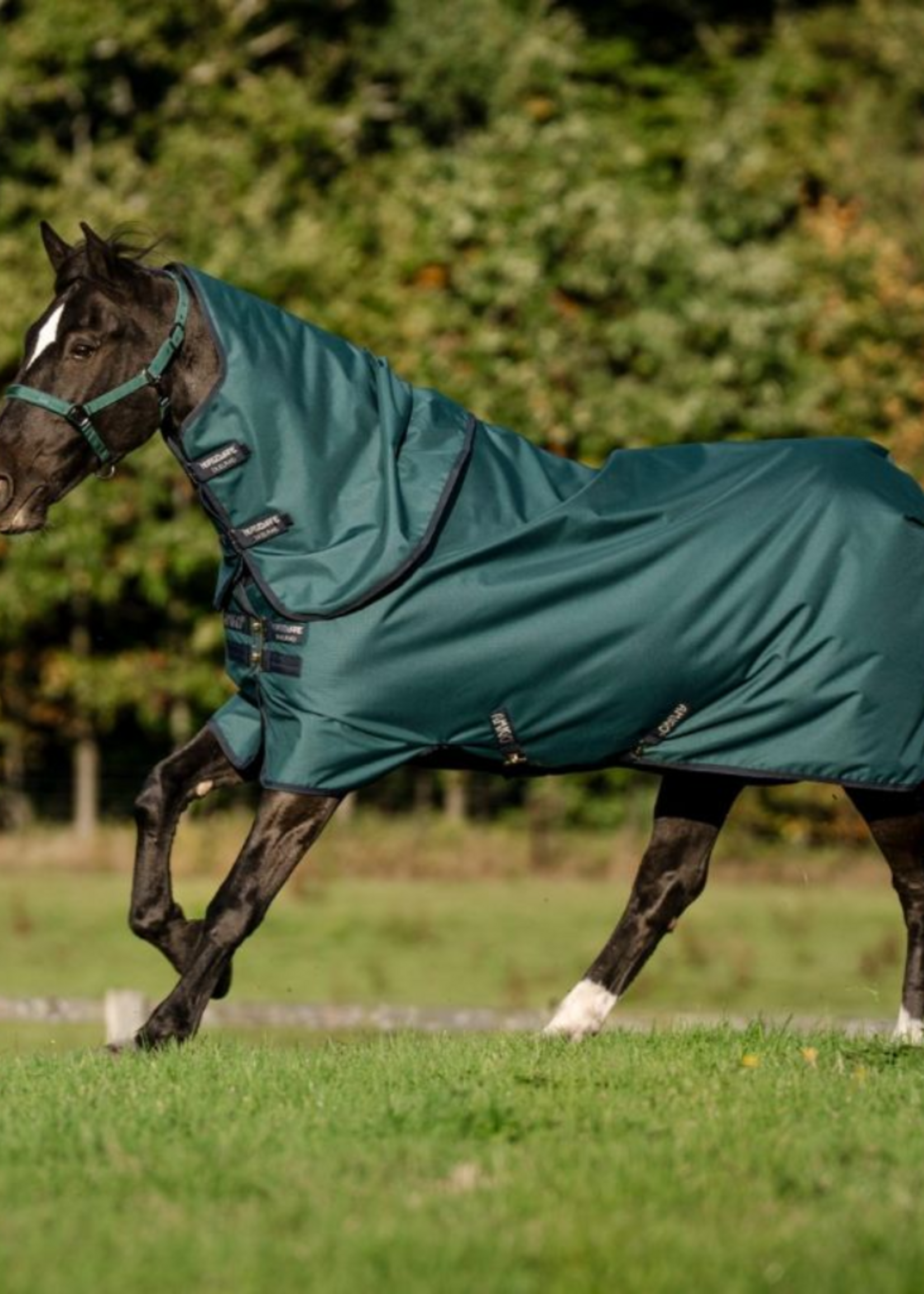 Horseware Horseware Amigo Ripstop 900D Plus 200gr Waterdicht  Deken