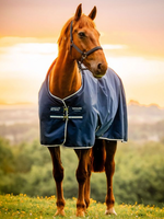 Horseware Horseware Amigo Ripstop 900D 200gr Waterdicht Deken