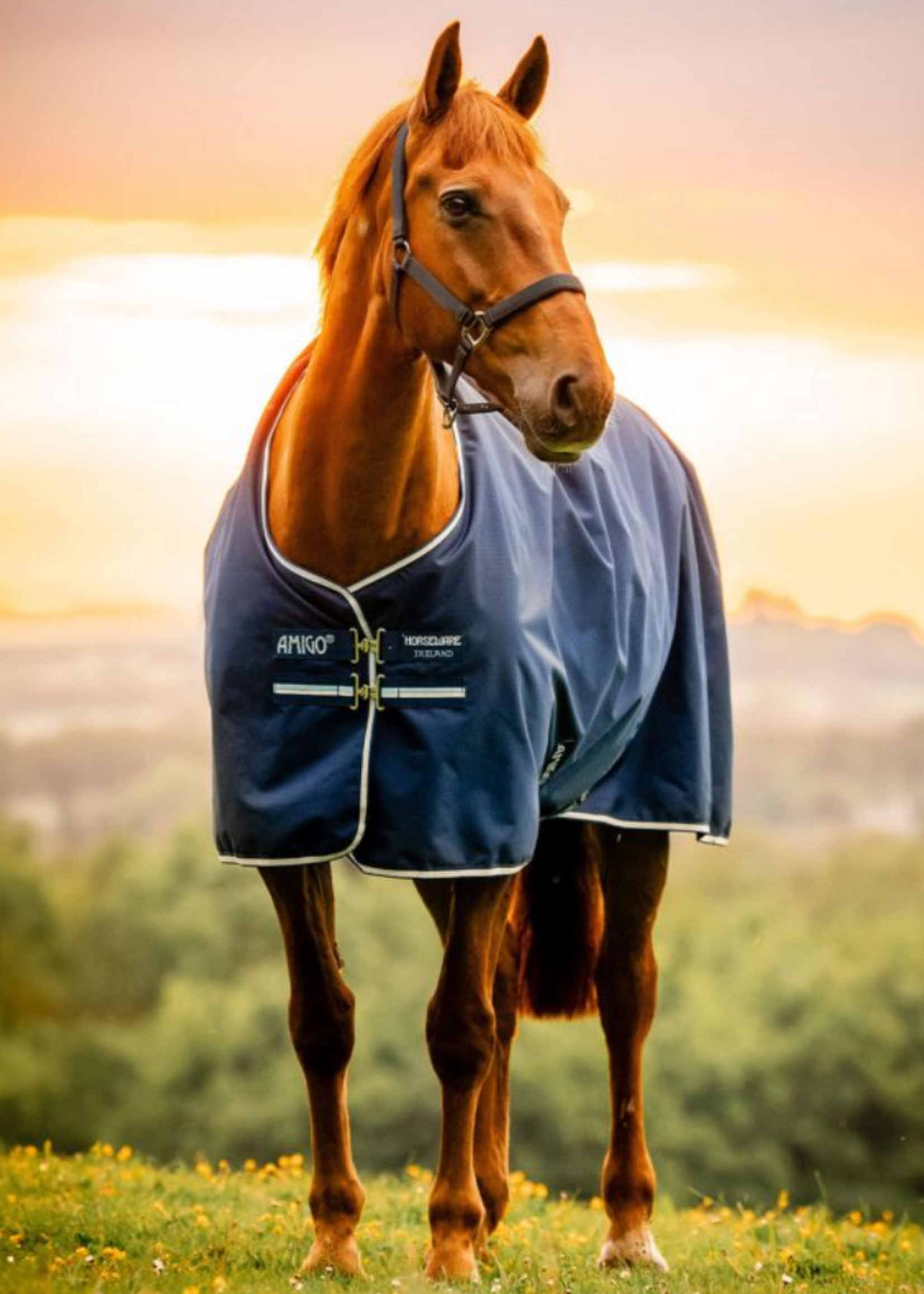 Horseware Horseware Amigo Ripstop 900D  100gr Waterdicht Deken