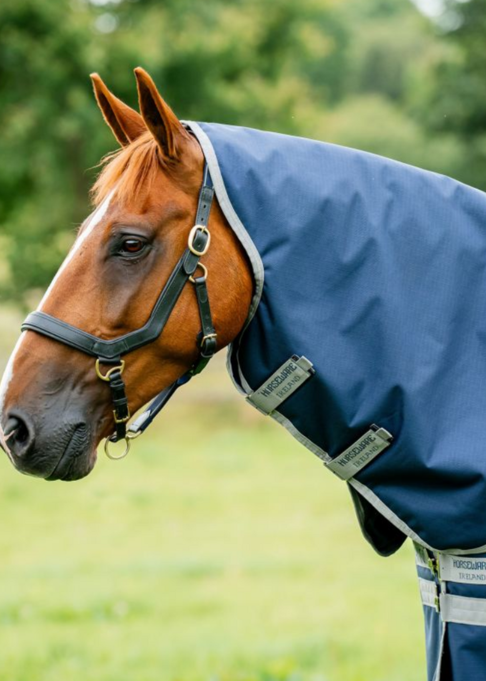 Horseware Horseware Amigo Ripstop 900D Plus 200gr Waterdicht Pony Deken