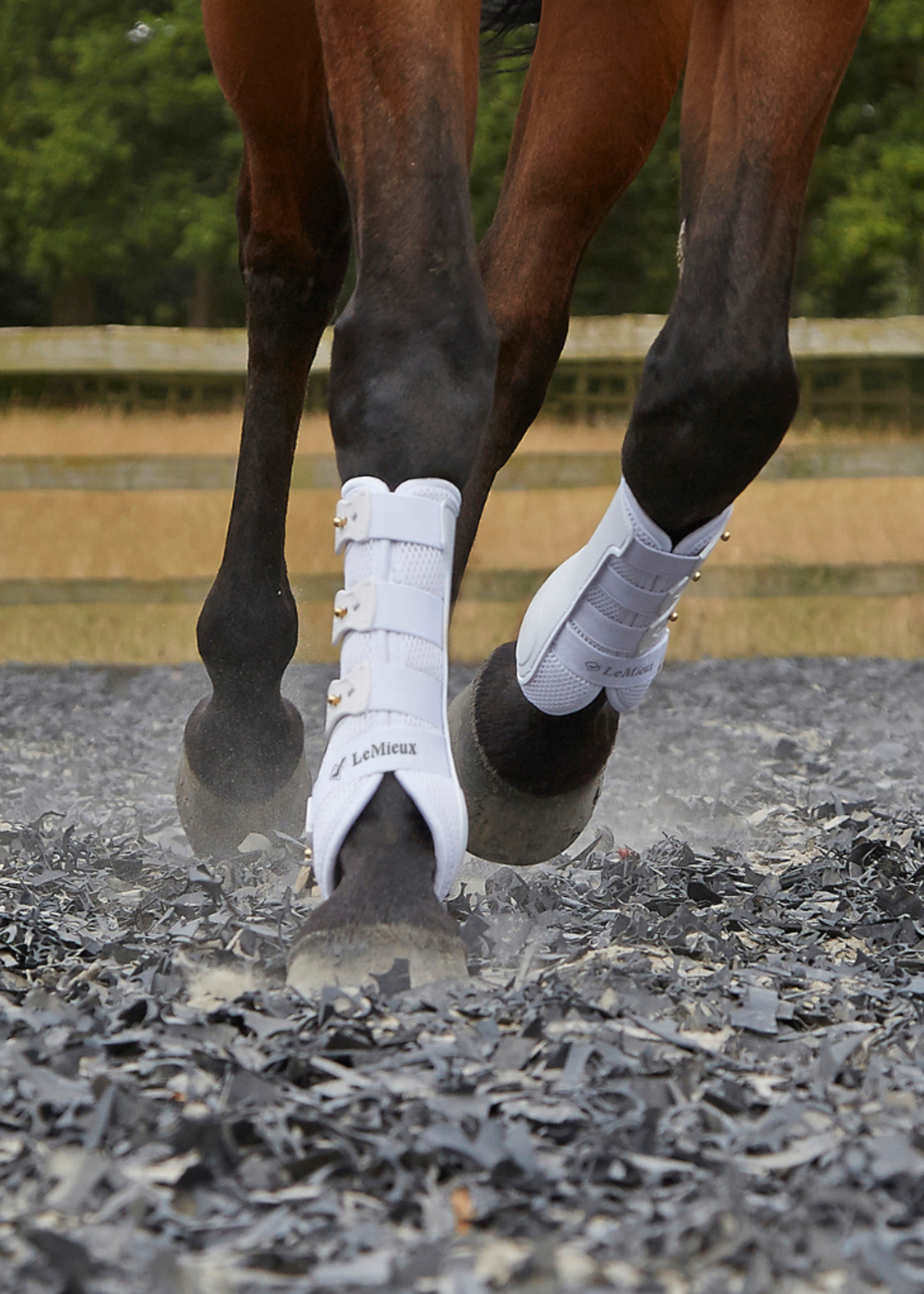 LeMieux Lemieux Snug Beenbeschermers