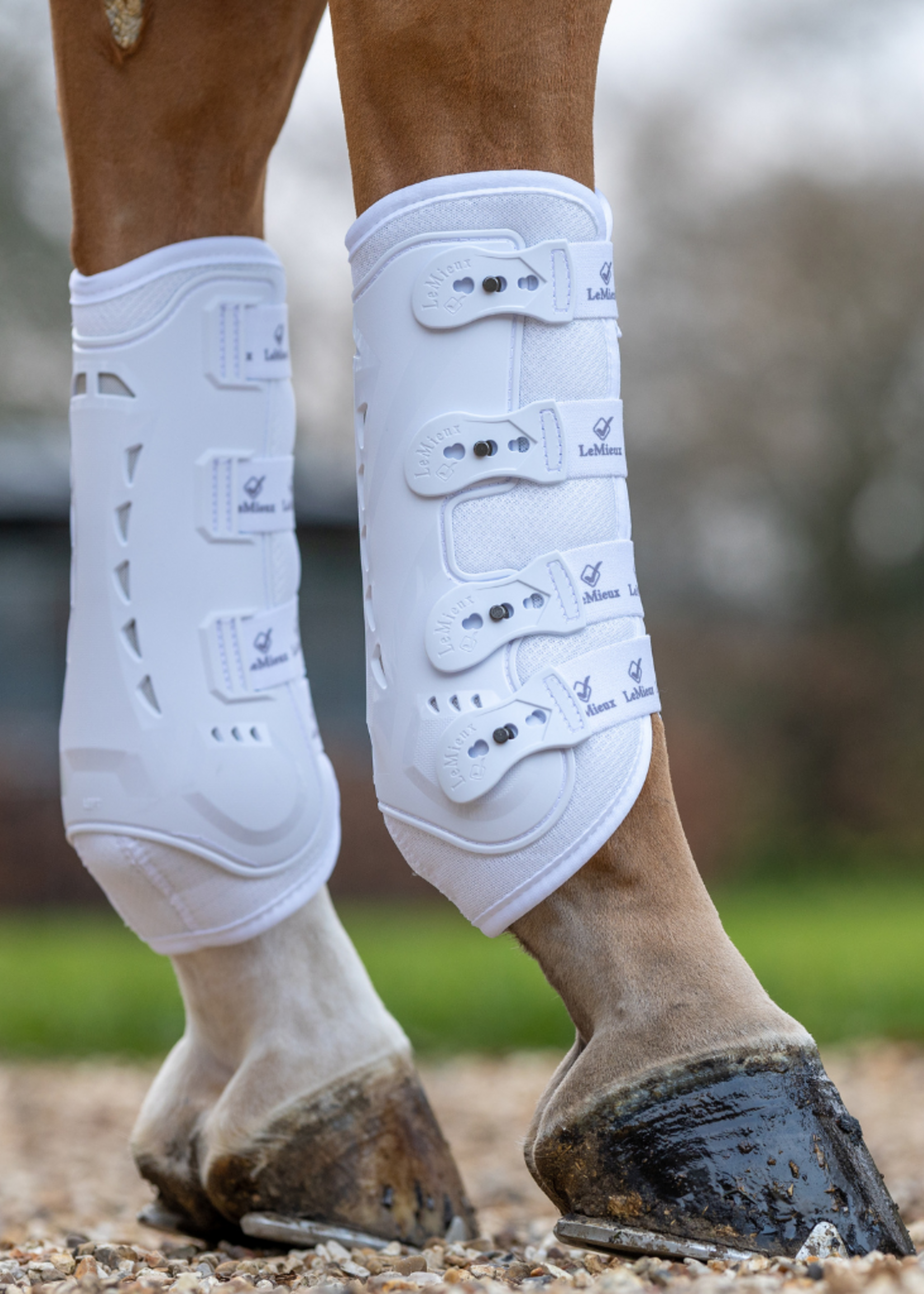 LeMieux Lemieux Snug Beenbeschermers