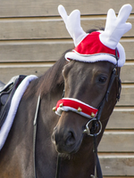 QHP QHP Kerst Rendier Muts Paard