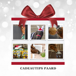 Cadeautips Paard