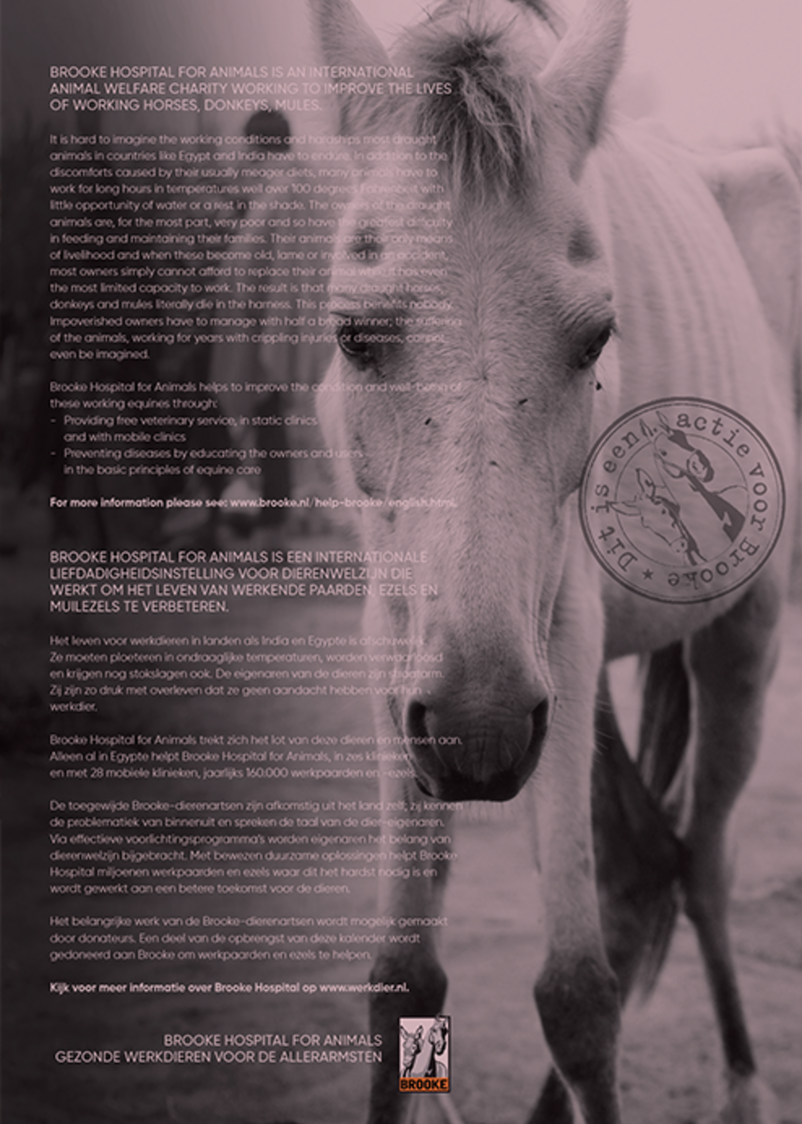 Kalender Horse & Hunk