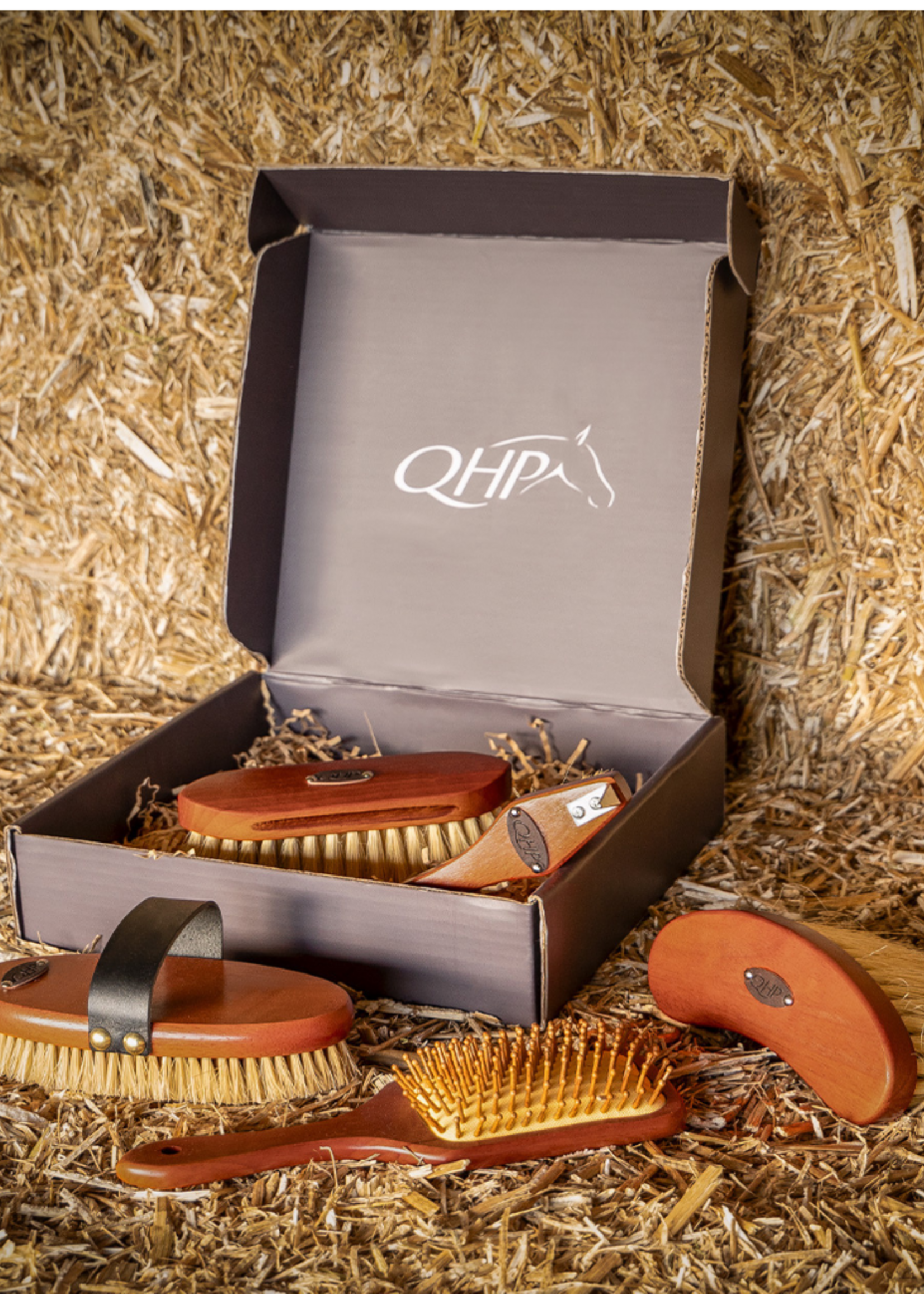 QHP QHP Borstel Set