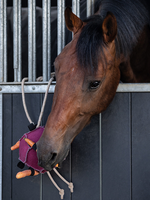 QHP QHP Bal  Paarden Speeltje