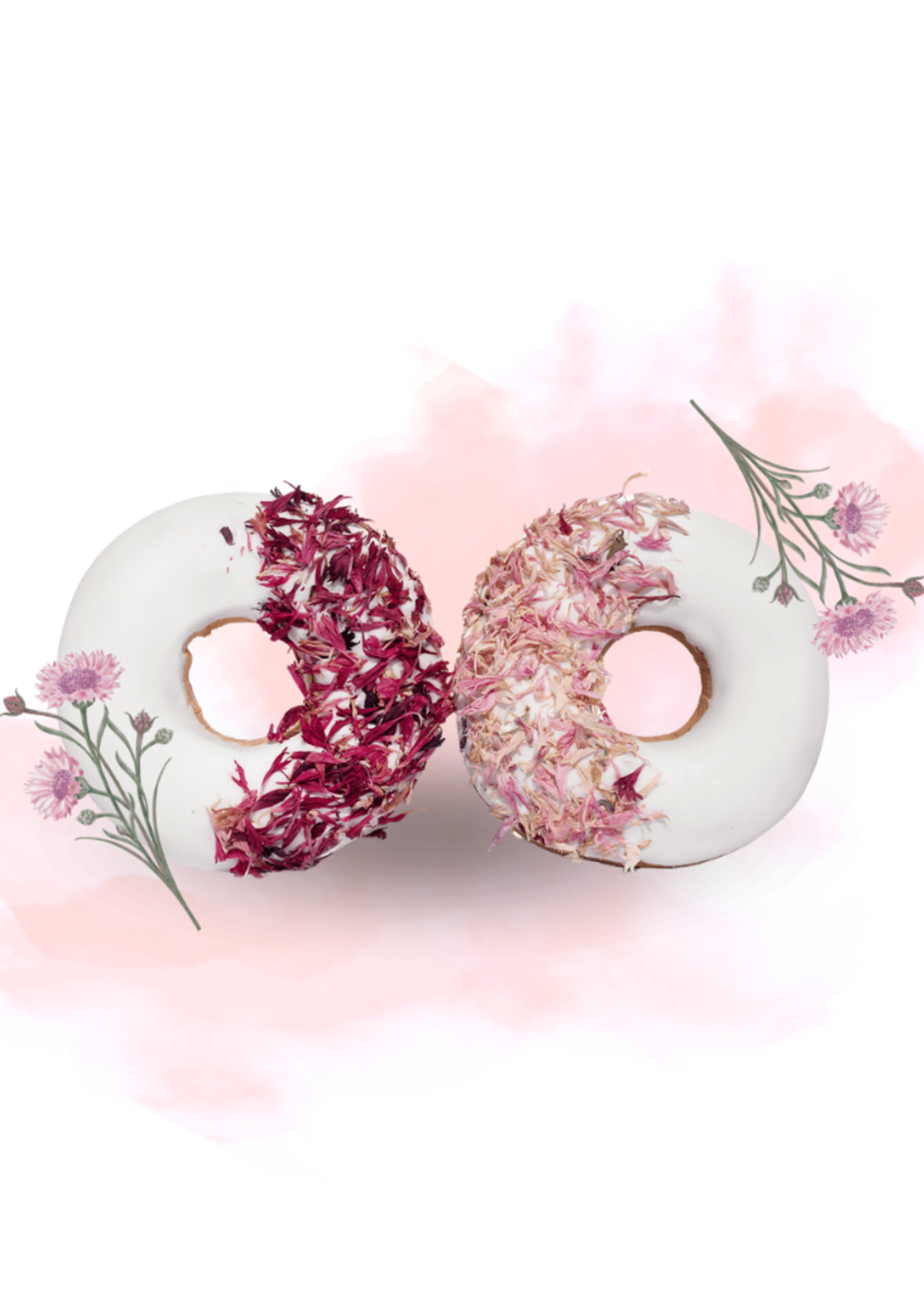 Paarden Donuts Snoep