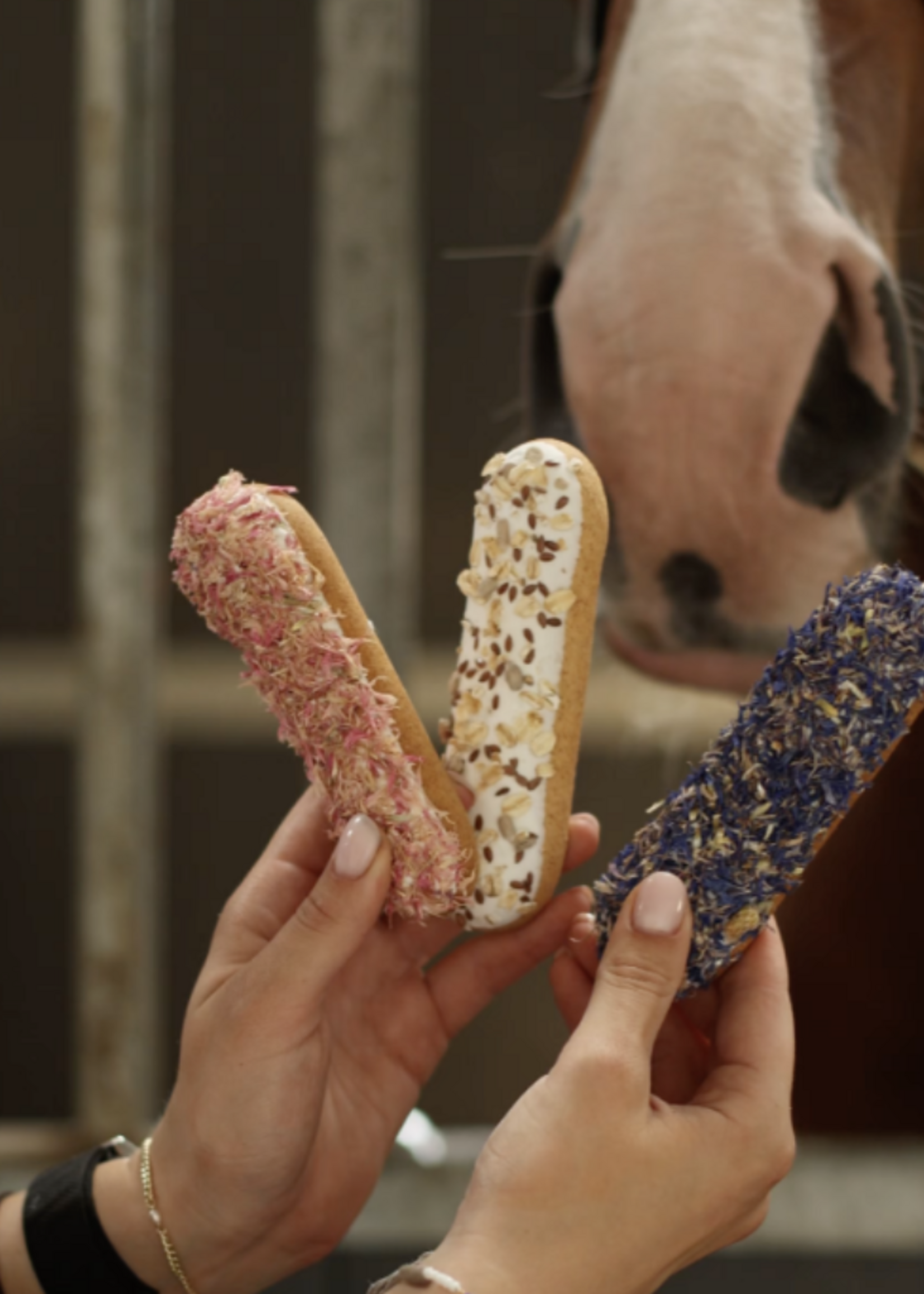 Paarden Eclair  Snoep