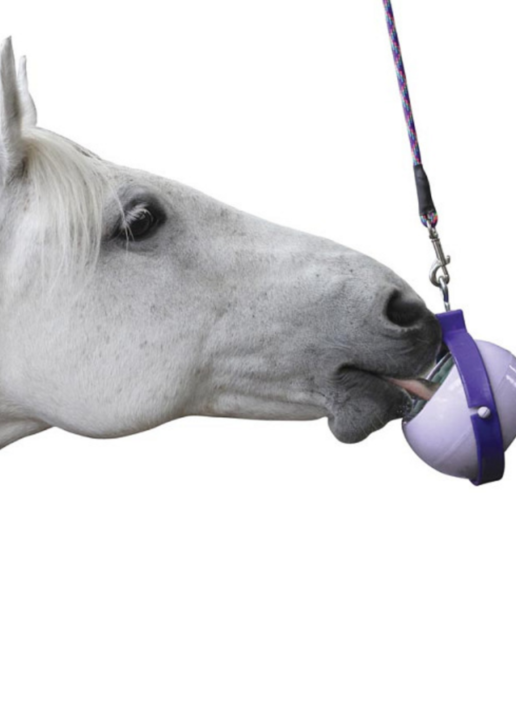 Likit Likit Boredaom Buster