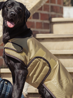 Eskadron Eskadron Heritage Waterdichte Honden Jas Cardamom