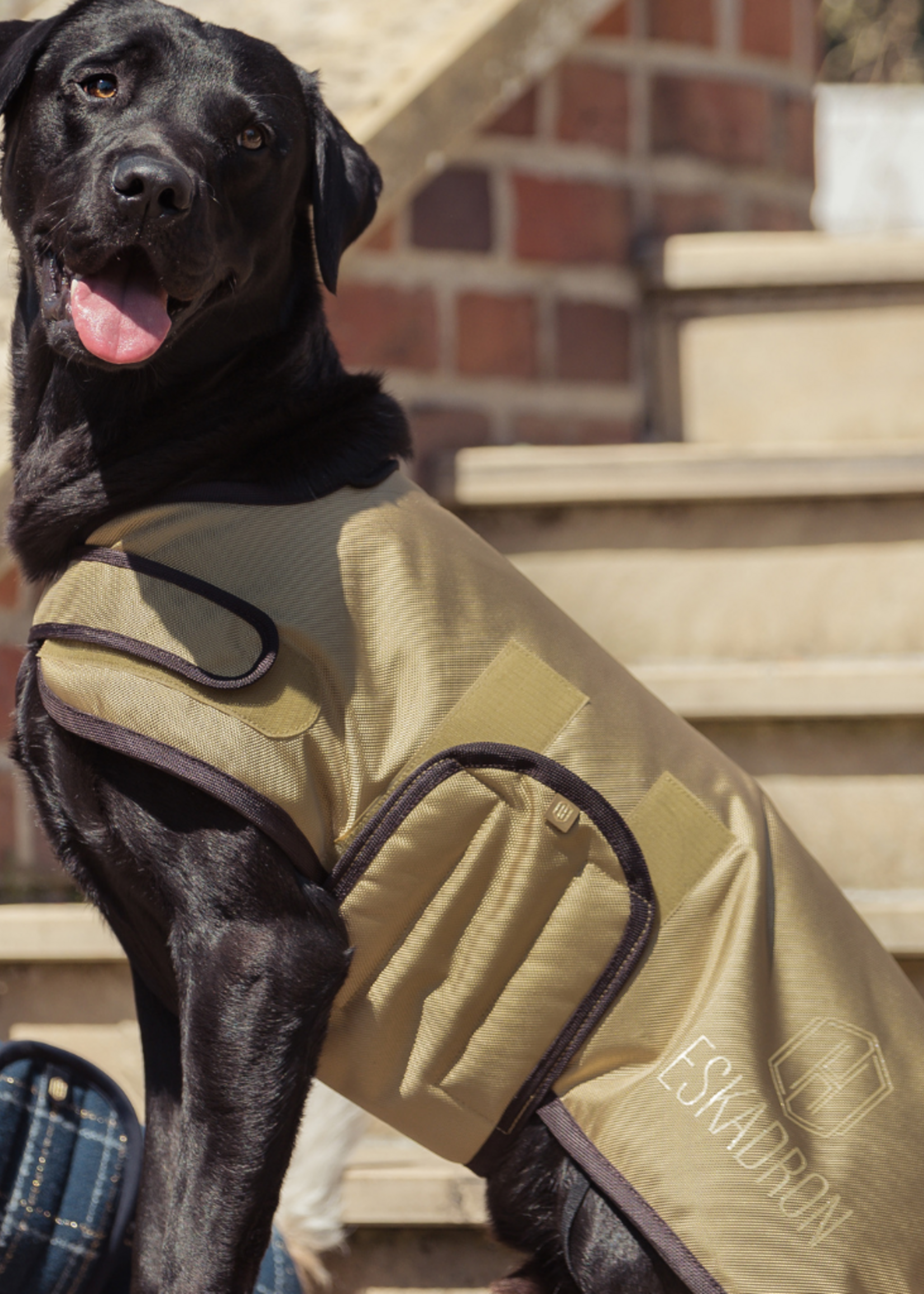 Eskadron Eskadron Heritage Waterdichte Honden Jas Cardamom 180558322