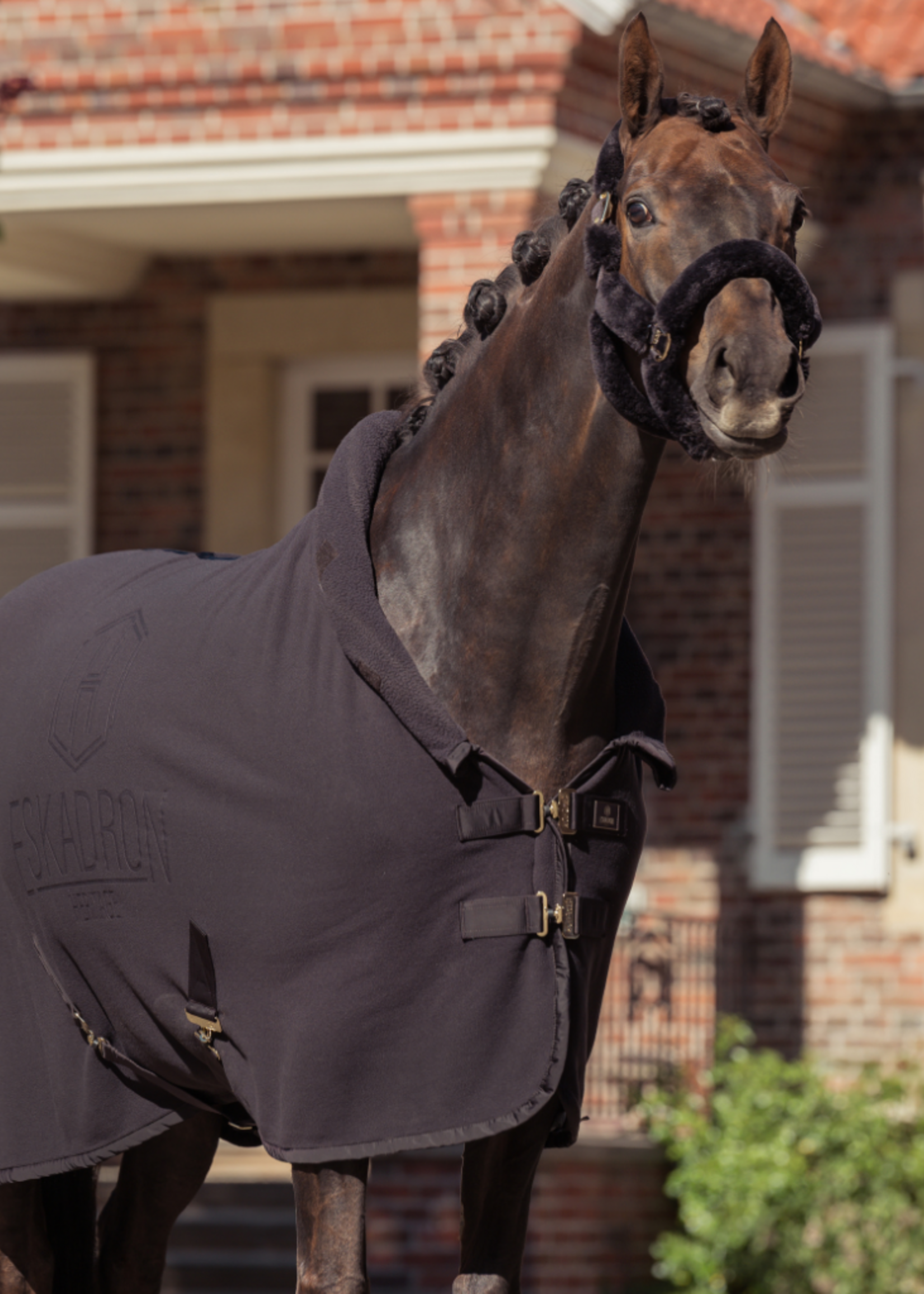 Eskadron Eskadron Heritage High Neck Double Fleece  Deken Black Truffle 126158277