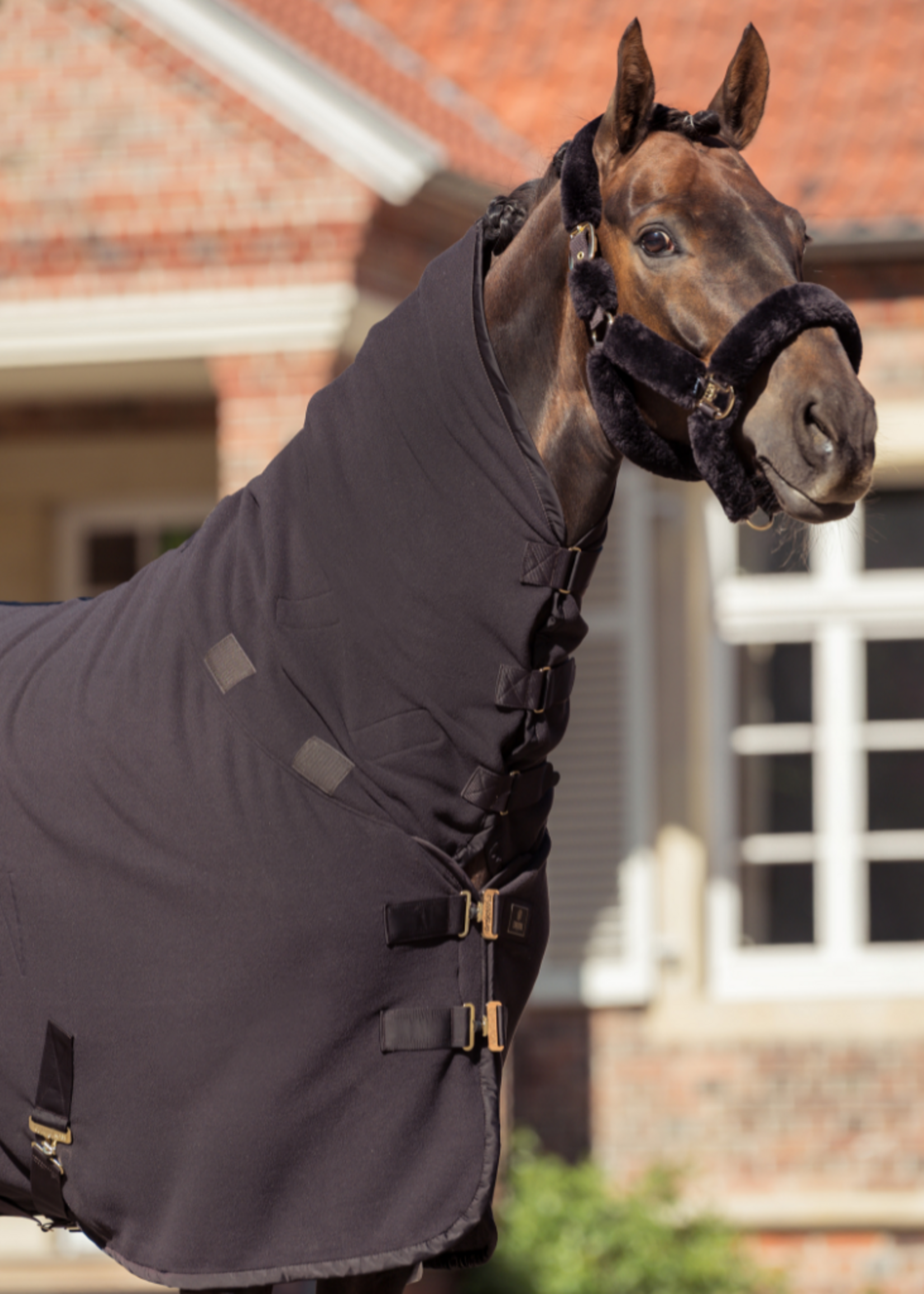 Eskadron Eskadron Heritage High Neck Double Fleece  Deken Black Truffle 126158277