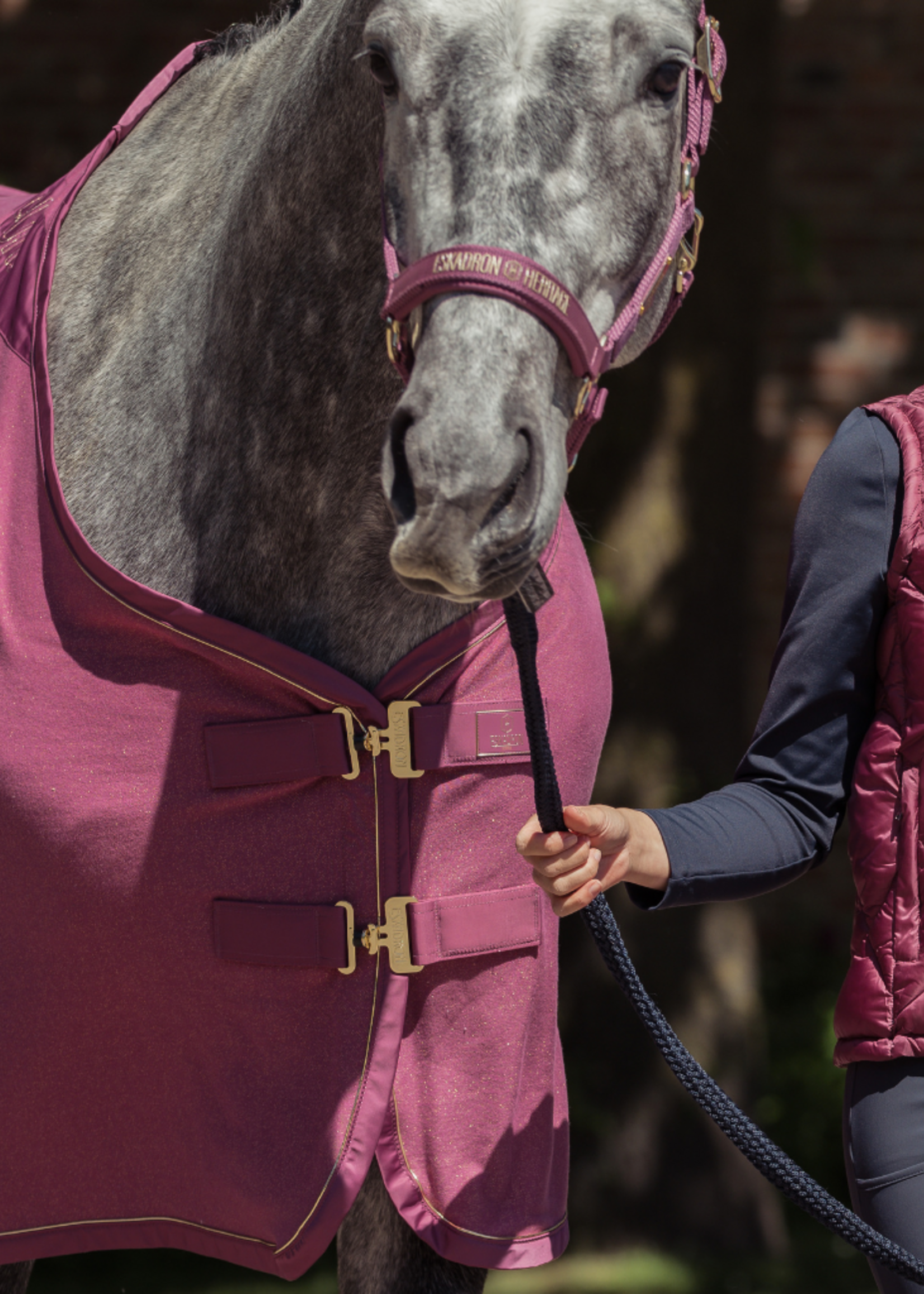 Eskadron Eskadron Heritage Jersey Sparkle Zweet  Deken Wild Berry 112558253