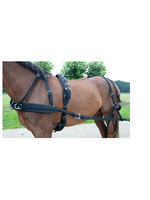 Ideal Ideal Vierspan WebTech Combi Tuig vanaf: