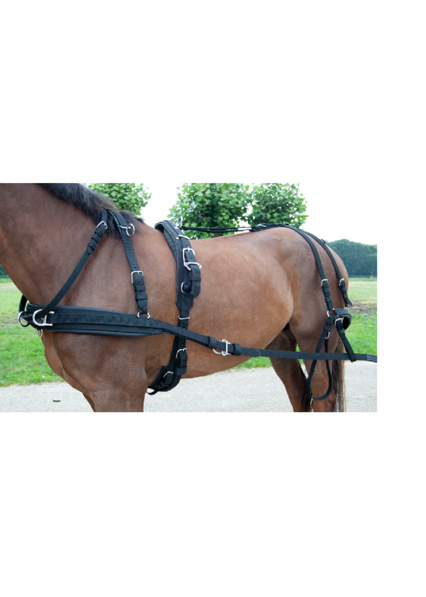 Ideal Ideal Vierspan WebTech Combi Tuig