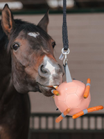 Waldhausen Waldh Wortel Bal