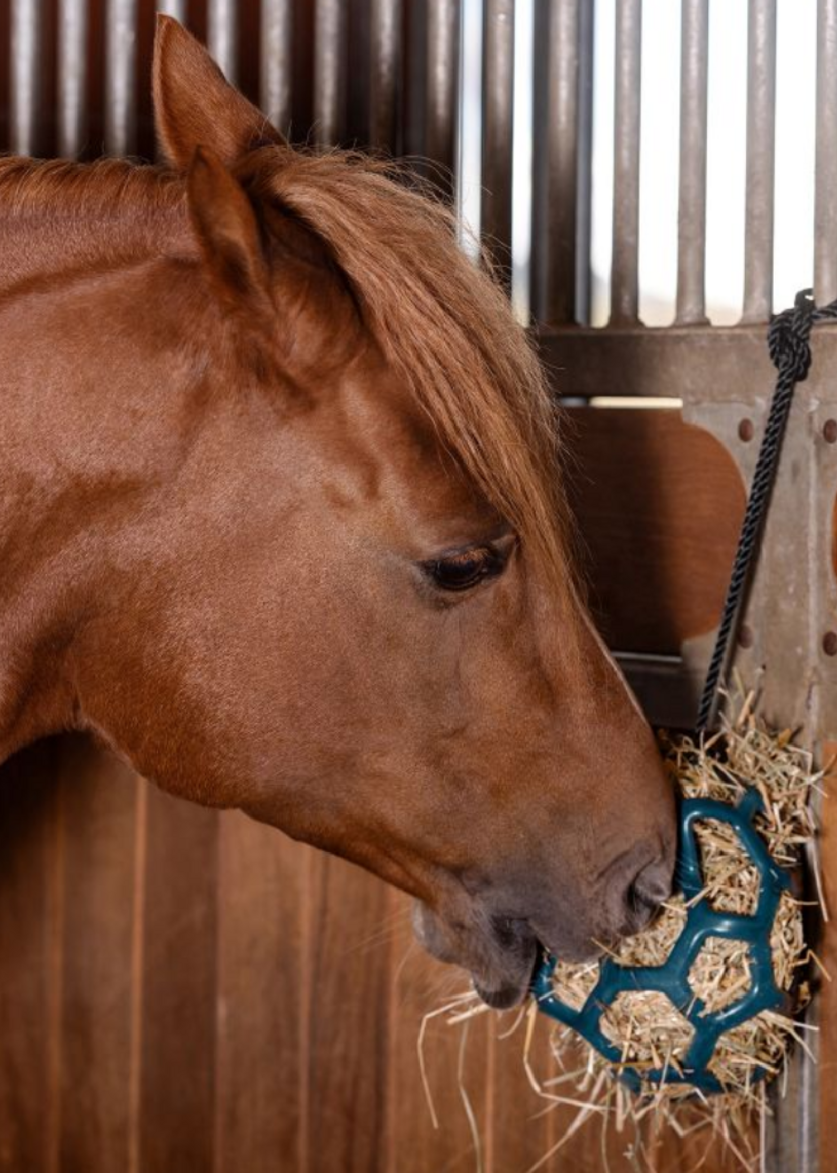 Waldhausen Waldh Hooi Bal 3871