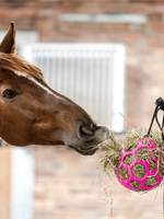 Waldhausen Waldh Hooi Bal