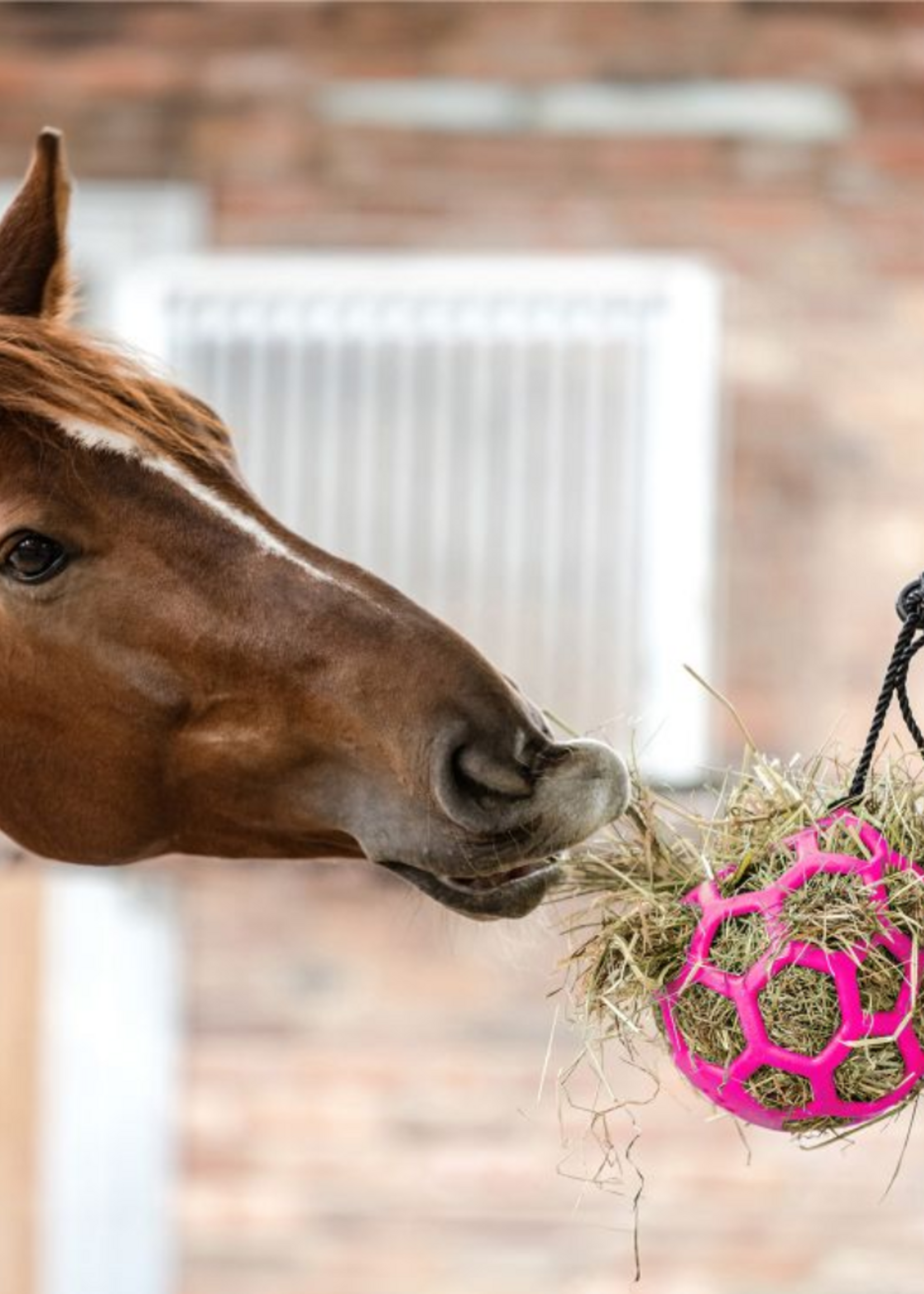 Waldhausen Waldh Hooi Bal 3871