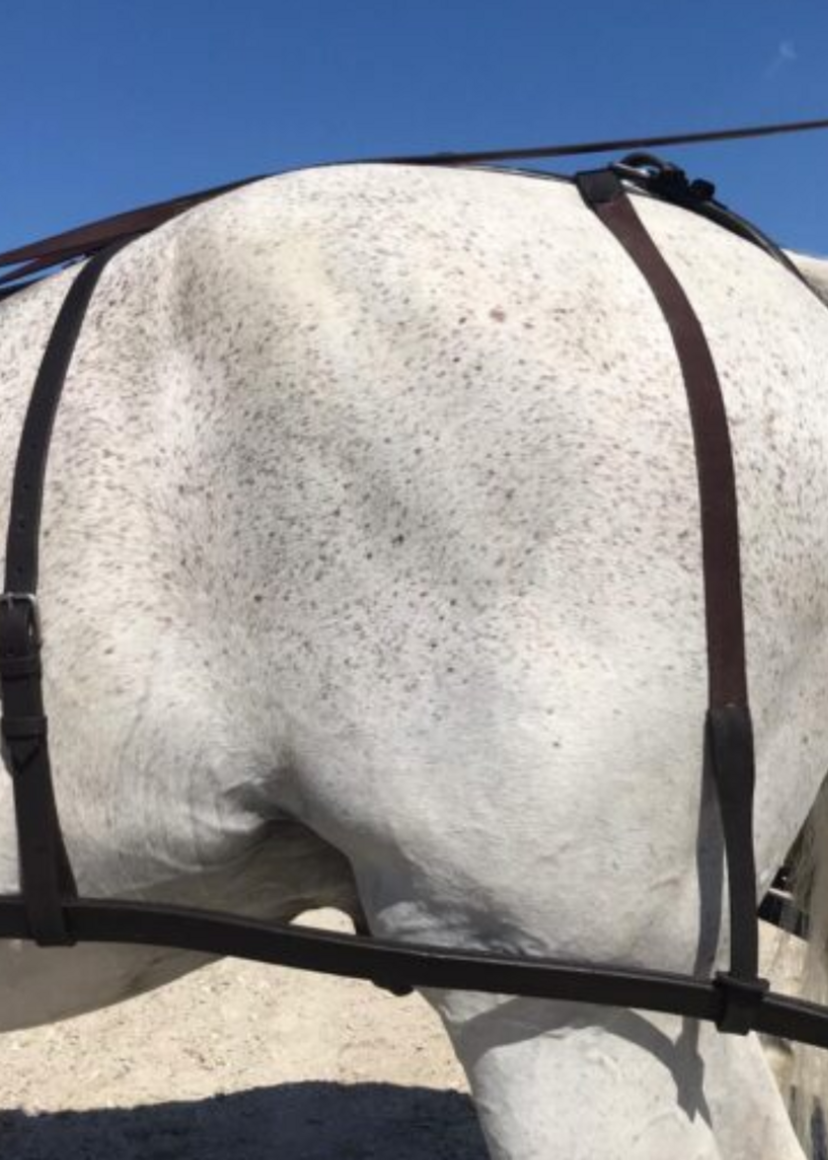 Ideal Ideal Elastische Marathon  Strengendragers