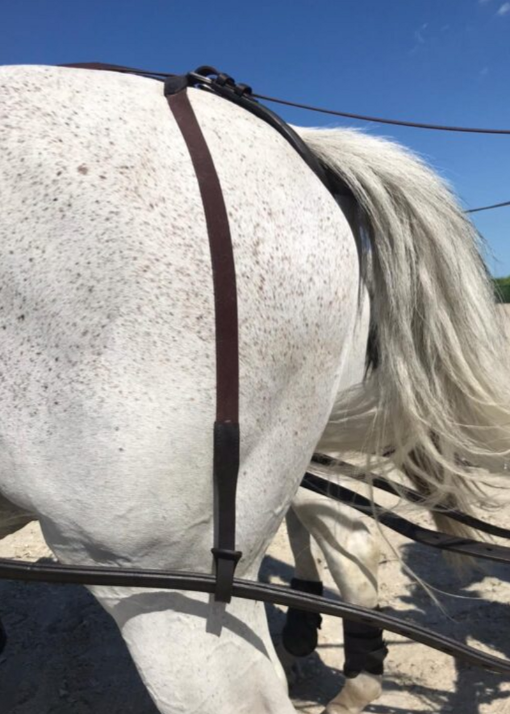 Ideal Ideal Elastische Marathon  Strengendragers