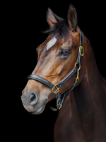 LJ Leathers LJ Fancy Leren Halster