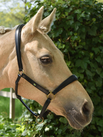 LJ Leathers LJ Leren Halster (201)