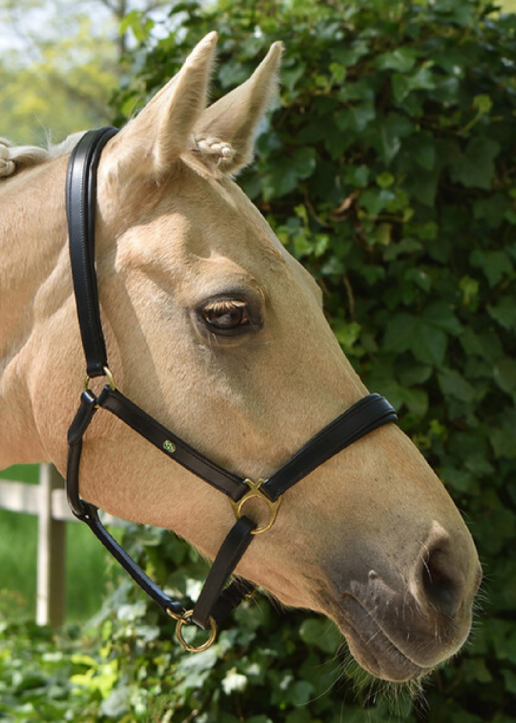 LJ Leathers LJ Leren Halster (201)