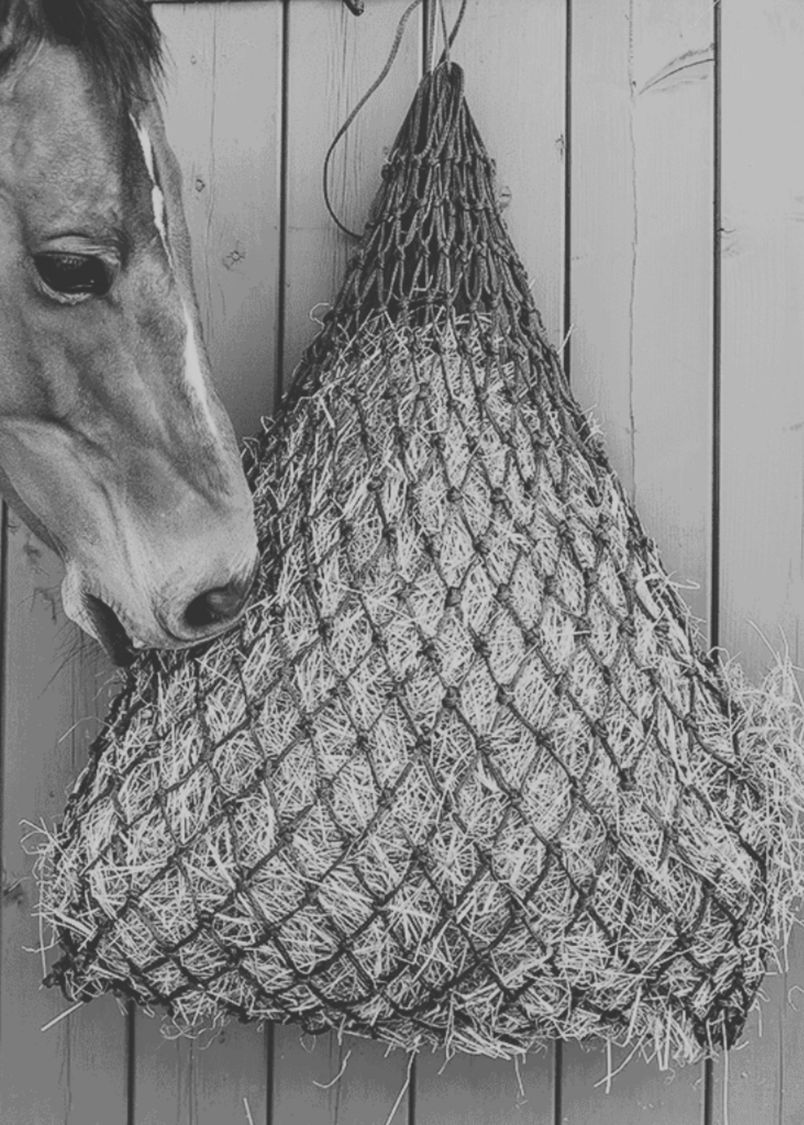 Lami-Cell Lami-Cell 5x5  Hooi Net 890129