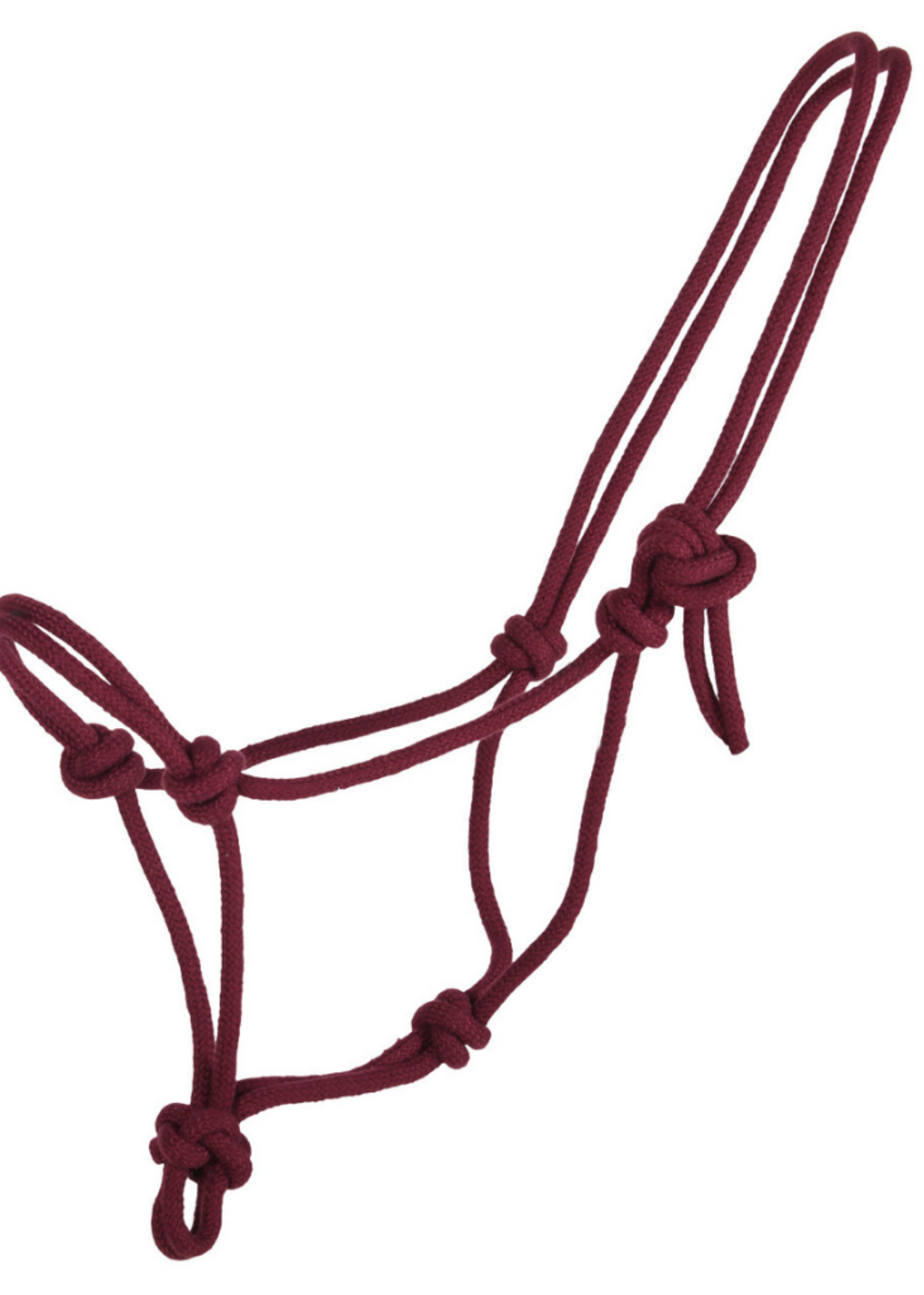 QHP QHP Basic Touw  Halster 1111