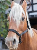 Norton Norton Nylon Trekpaard Halster