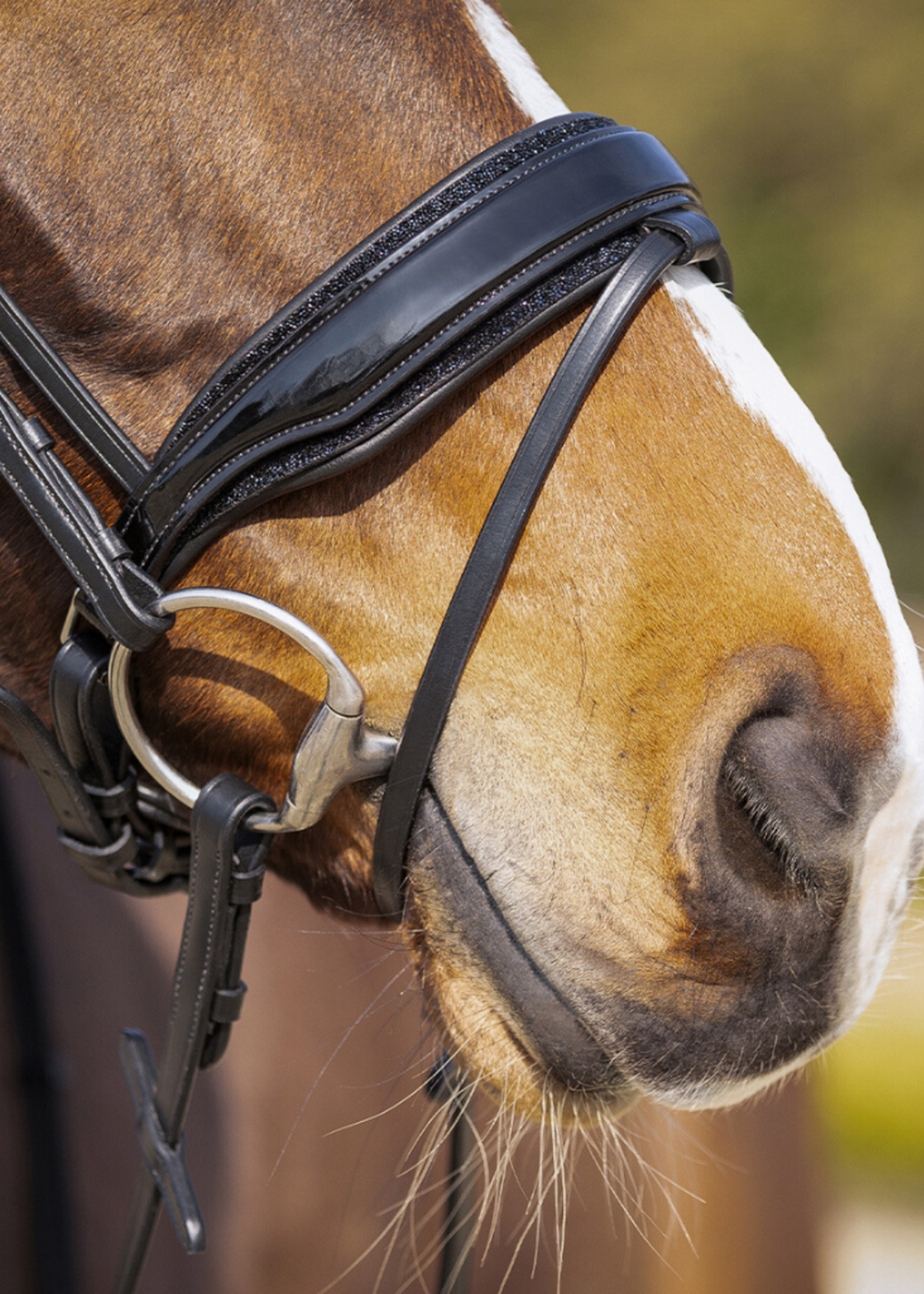 QHP QHP Skye Hoofdstel 9115