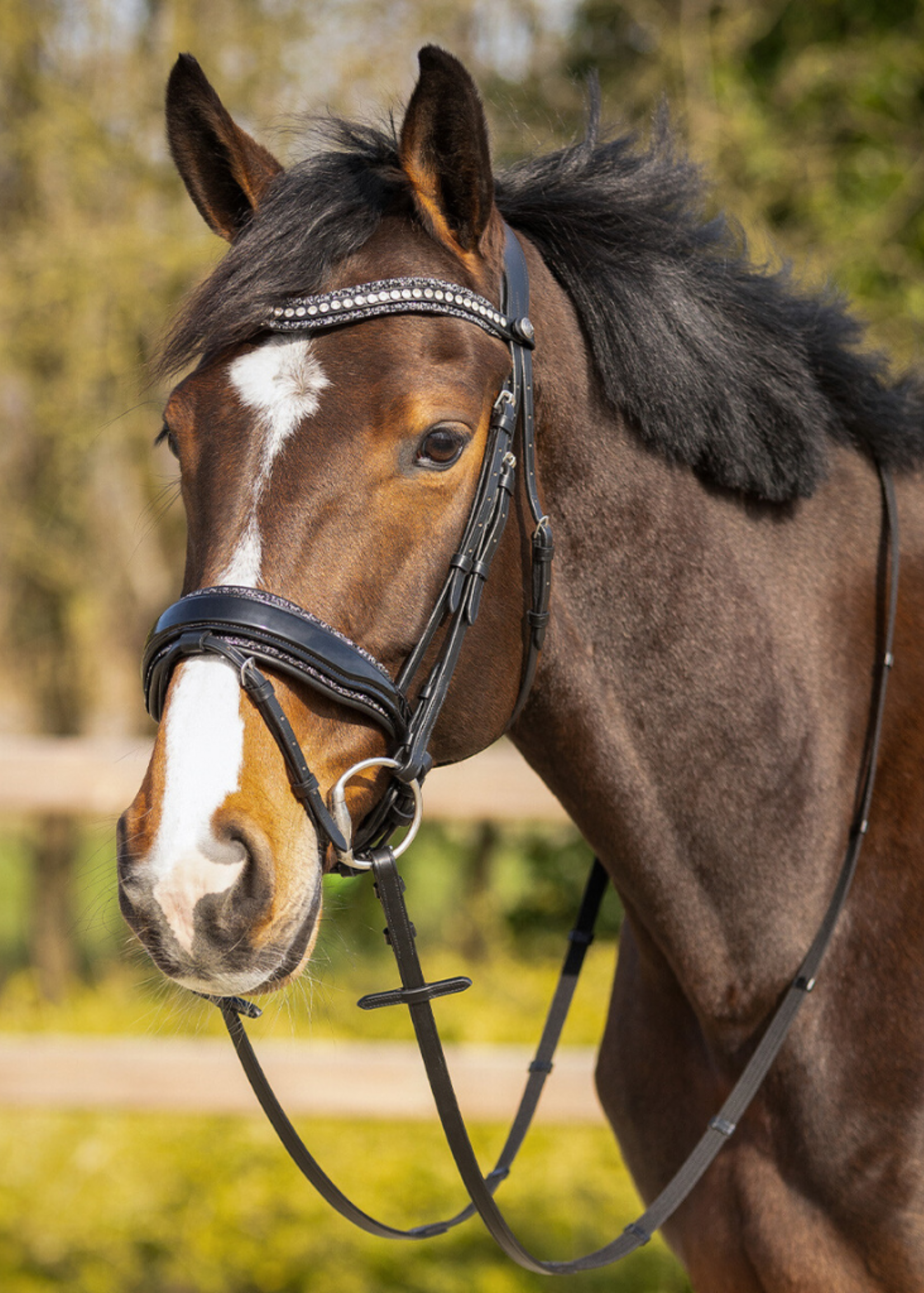 QHP QHP Skye Hoofdstel 9115