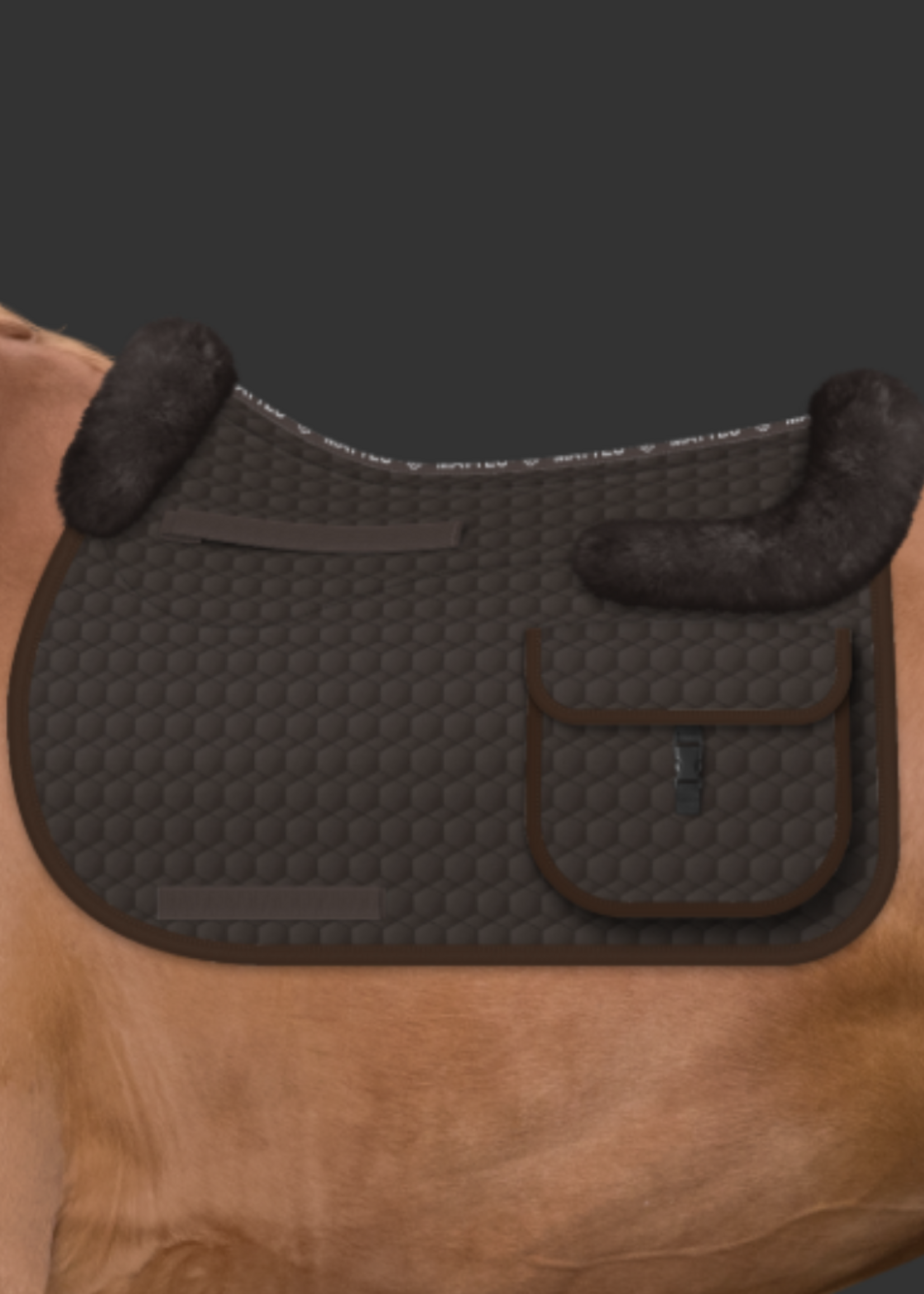 Mattes Mattes M Zak M Wol Dekje