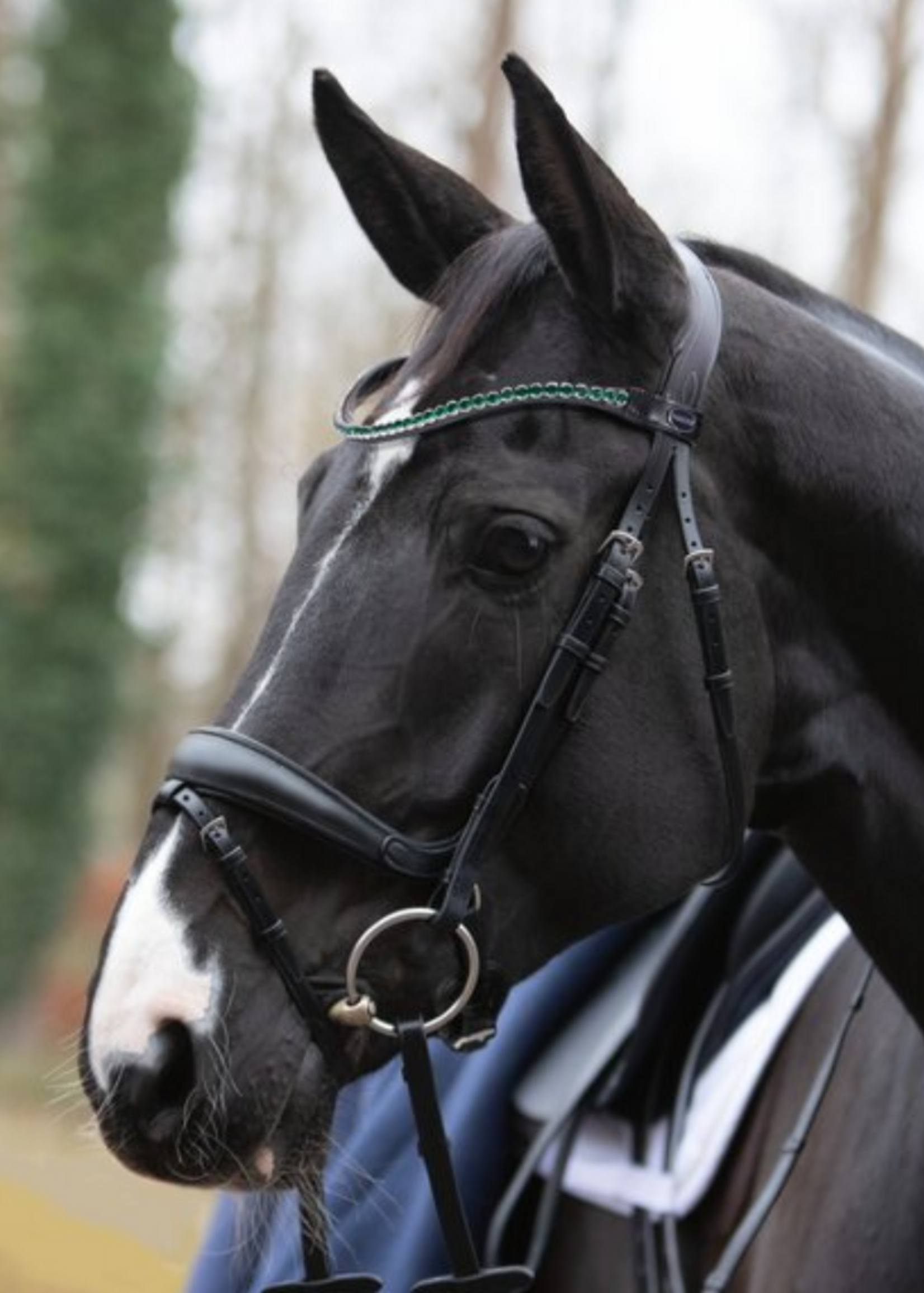 Passier Passier Fantastic Anatomisch  Neusriem, Hoofdstel 814