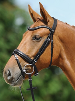 Passier Passier Juno, Effe Frontriem, Gecombineerd Hoofdstel 840