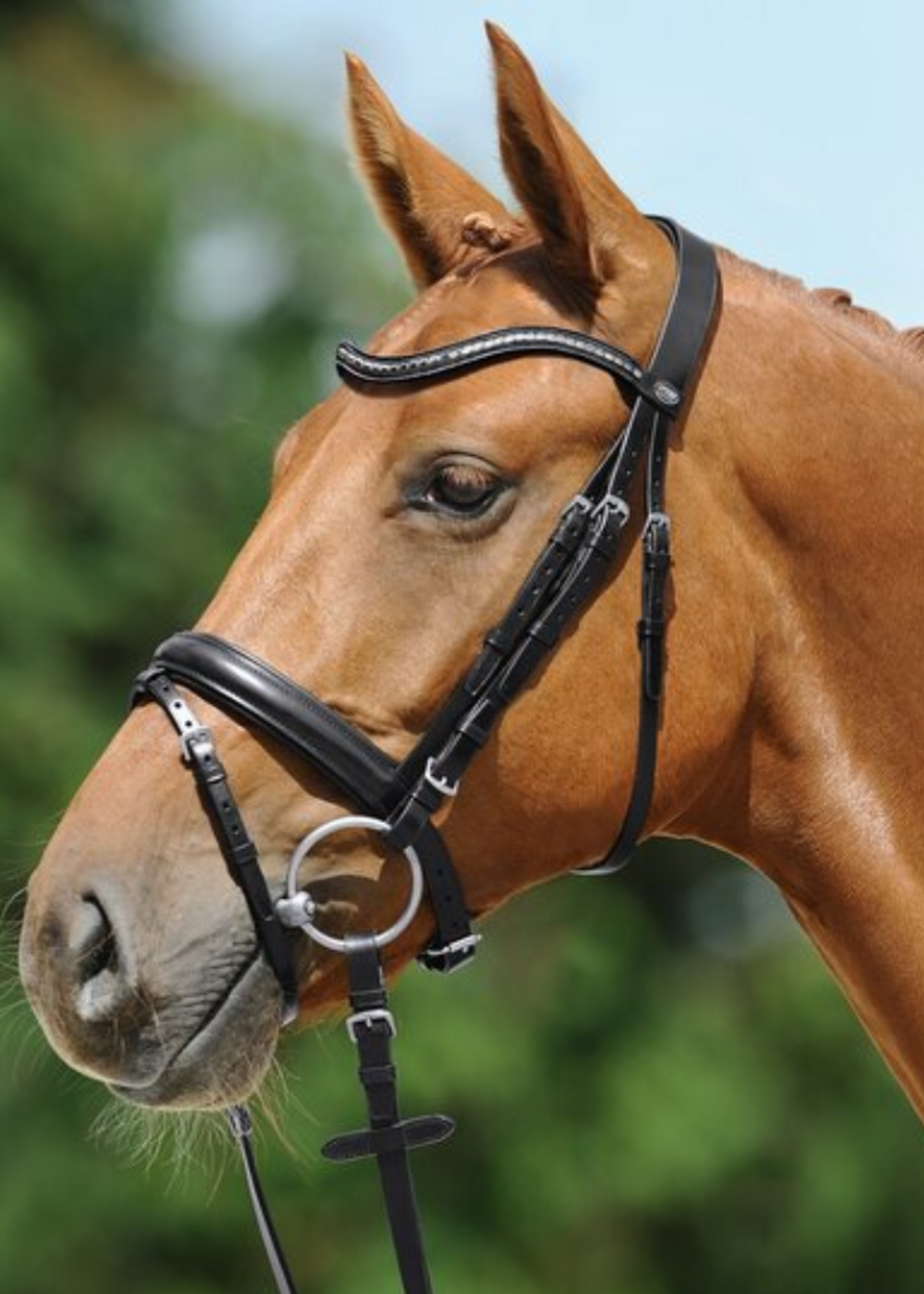 Passier Passier Juno, Effe Frontriem, Gecombineerd Hoofdstel 840