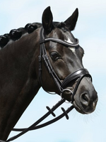 Passier Passier Blu Spirit M strass Front  Gecomb. Hoofdstel 825